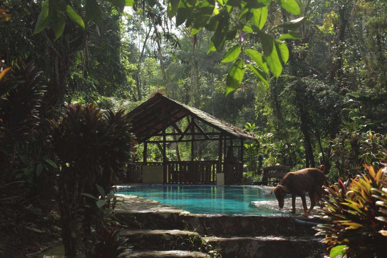 Princesa De La Luna Ecolodge La Fortuna Exterior photo