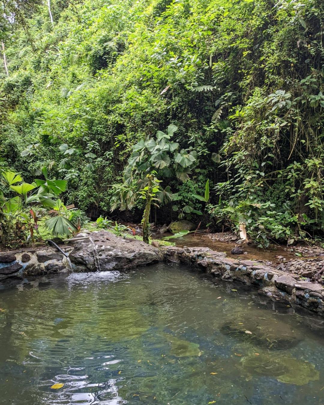 Princesa De La Luna Ecolodge La Fortuna Exterior photo